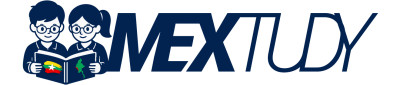 system logo