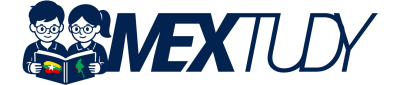 system logo